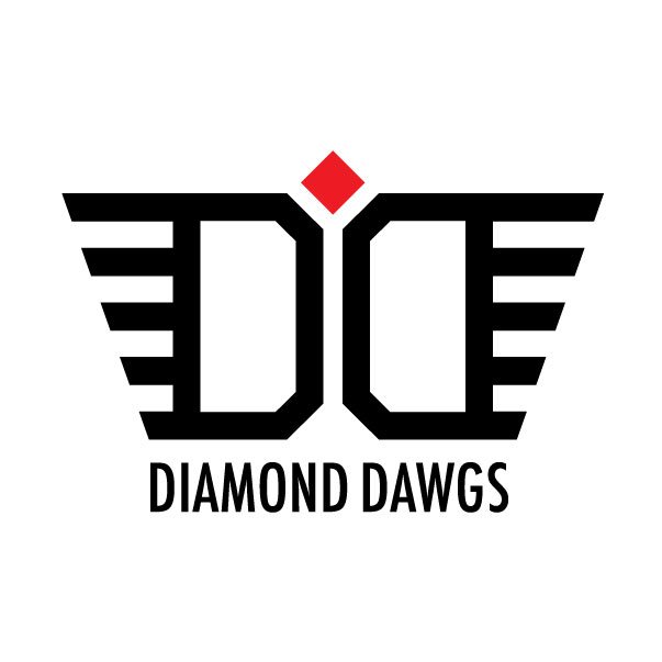 Diamond Darts logo